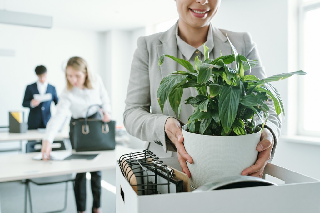 donna felice che porta una pianta in ufficio